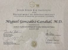 Jules Stein Eye Institute - Miguel González Candial